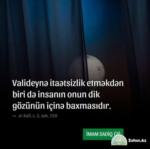 Foto / Müxtəlif