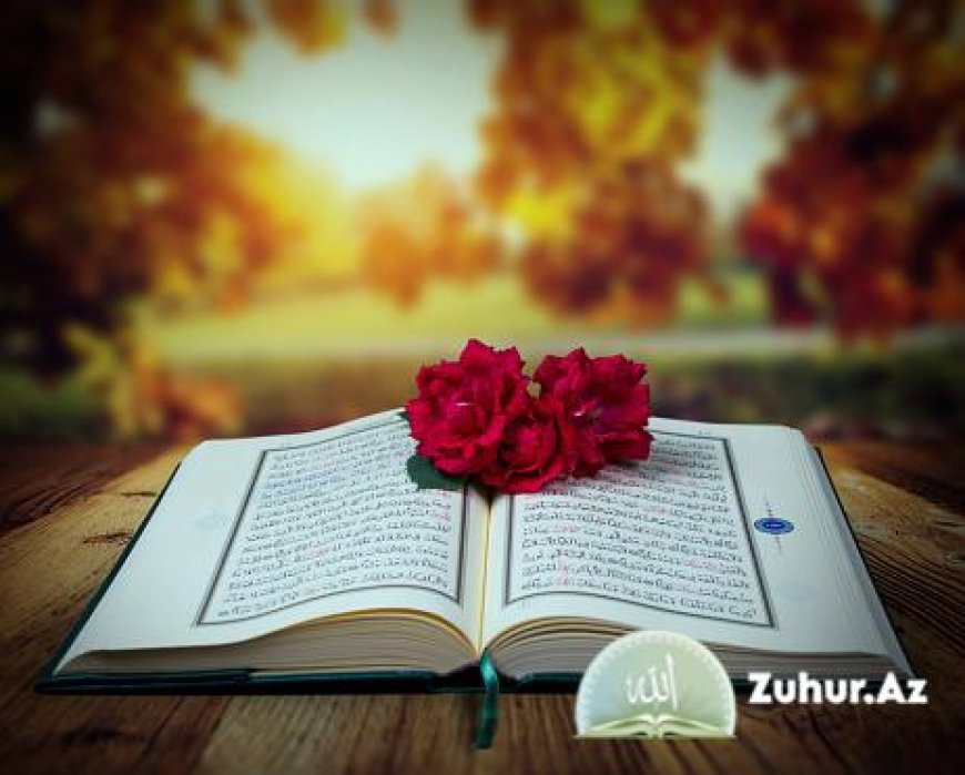 Möhkəm və Mütəşabih Ayələrin Hikməti