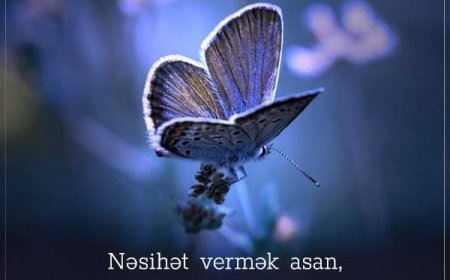 Peyğəmbərin (s.ə.s) Salman Farsiyə Nəsihətləri