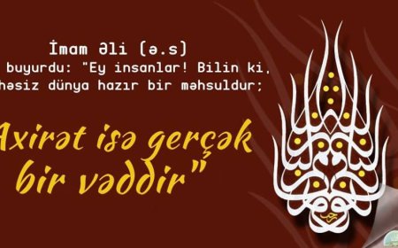 “Əgər İmam Əli (ə) bu dövrdə yaşasaydı”