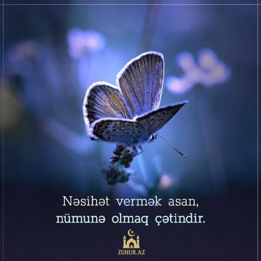 Peyğəmbərin (s.ə.s) Salman Farsiyə Nəsihətləri