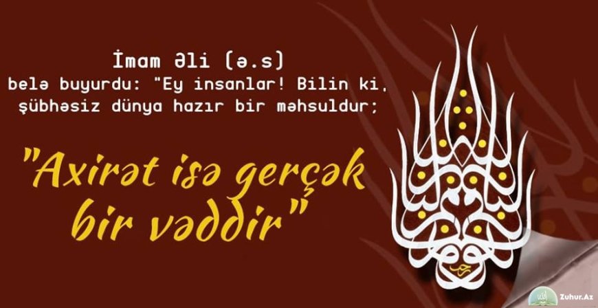 “Əgər İmam Əli (ə) bu dövrdə yaşasaydı”